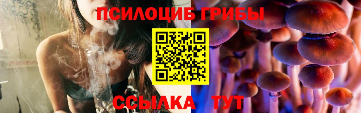 Псилоцибиновые грибы GOLDEN TEACHER  купить наркотик  Славянск-на-Кубани  Вход с VPN 